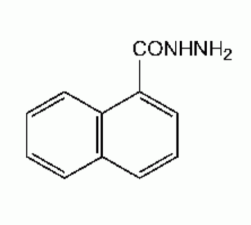 1-нафтойную гидразид, 98 +%, Alfa Aesar, 5 г
