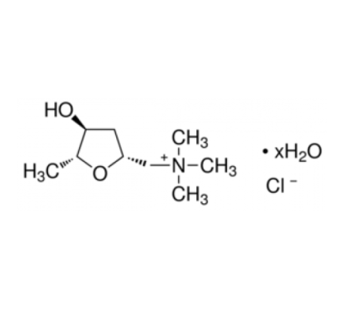 (β Мускарина хлорид гидрат 98% (ВЭЖХ) Sigma M104
